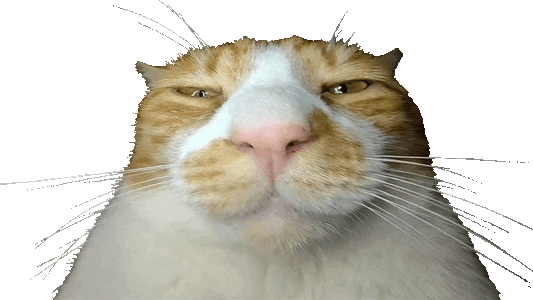 1000039377.gif