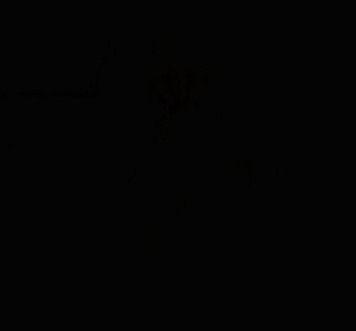 darkness.JPG